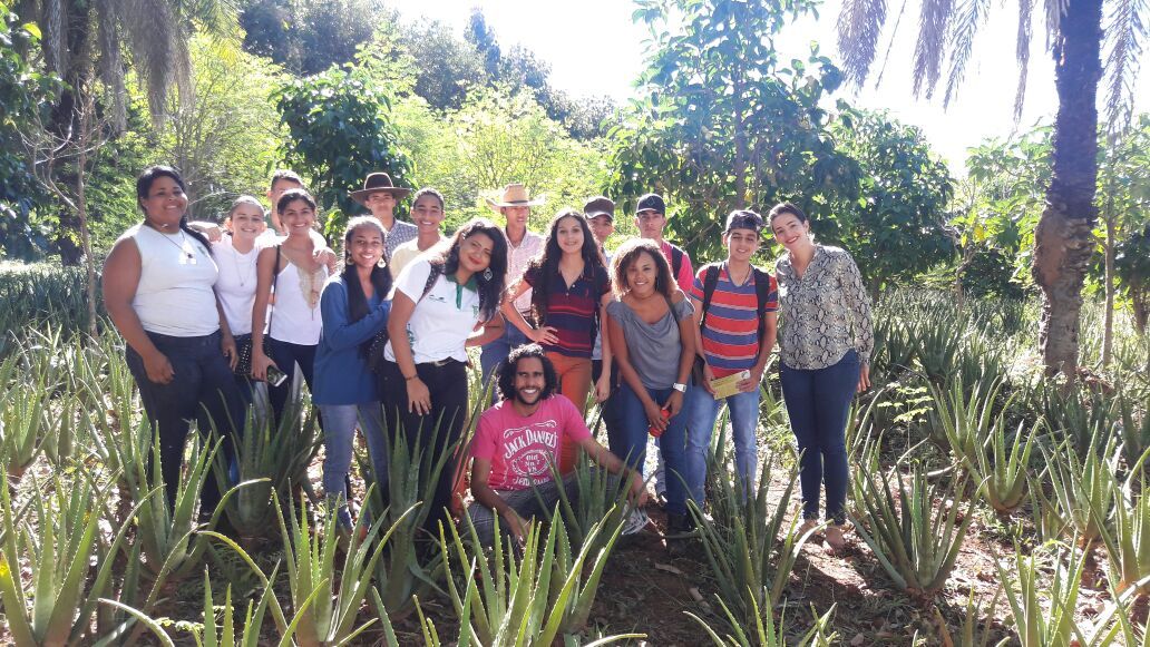 Estudantes conheceram o cultivo da Aloe Vera
